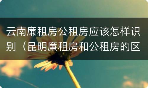 云南廉租房公租房应该怎样识别（昆明廉租房和公租房的区别）