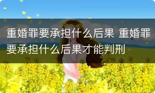 重婚罪要承担什么后果 重婚罪要承担什么后果才能判刑