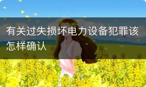 有关过失损坏电力设备犯罪该怎样确认