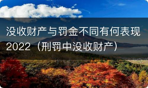 没收财产与罚金不同有何表现2022（刑罚中没收财产）