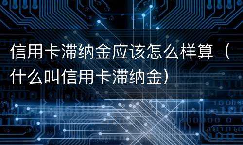信用卡滞纳金应该怎么样算（什么叫信用卡滞纳金）