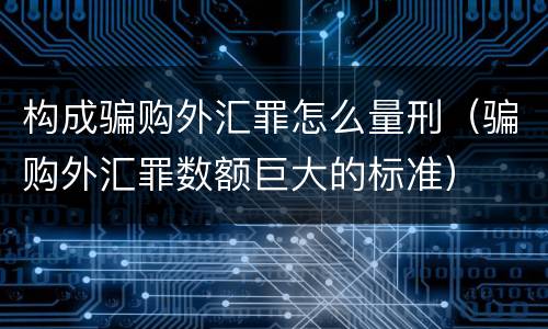 构成骗购外汇罪怎么量刑（骗购外汇罪数额巨大的标准）