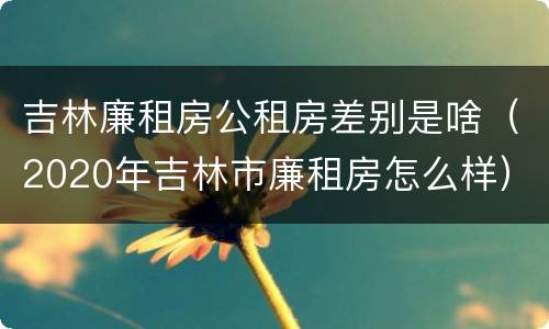 吉林廉租房公租房差别是啥（2020年吉林市廉租房怎么样）