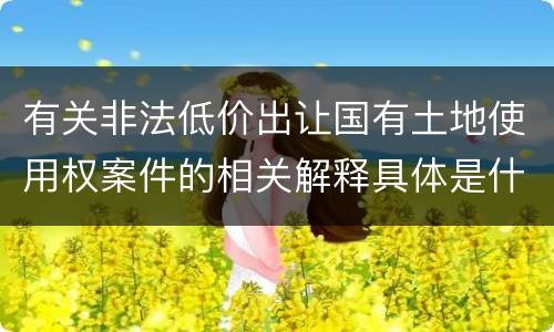 有关非法低价出让国有土地使用权案件的相关解释具体是什么主要内容