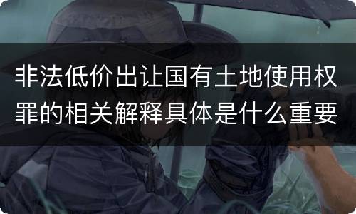 非法低价出让国有土地使用权罪的相关解释具体是什么重要内容