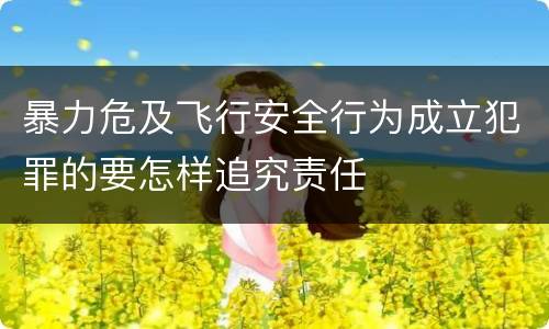 暴力危及飞行安全行为成立犯罪的要怎样追究责任