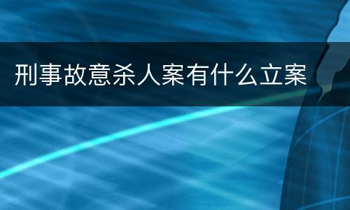 刑事故意杀人案有什么立案
