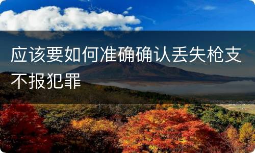 应该要如何准确确认丢失枪支不报犯罪