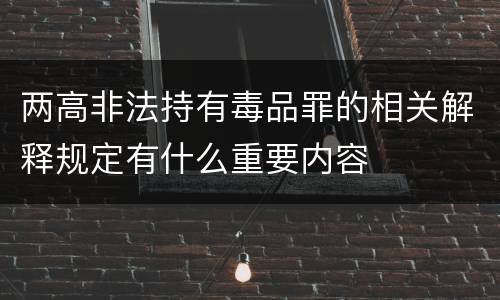 两高非法持有毒品罪的相关解释规定有什么重要内容
