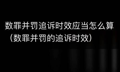 数罪并罚追诉时效应当怎么算（数罪并罚的追诉时效）