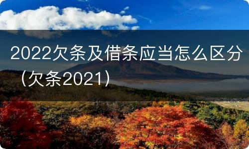 2022欠条及借条应当怎么区分（欠条2021）
