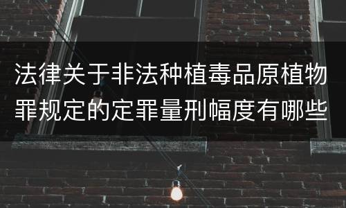 法律关于非法种植毒品原植物罪规定的定罪量刑幅度有哪些