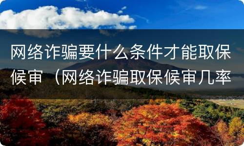 网络诈骗要什么条件才能取保候审（网络诈骗取保候审几率大吗）
