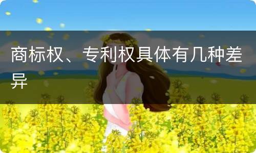 商标权、专利权具体有几种差异