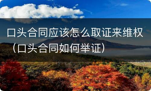 口头合同应该怎么取证来维权（口头合同如何举证）
