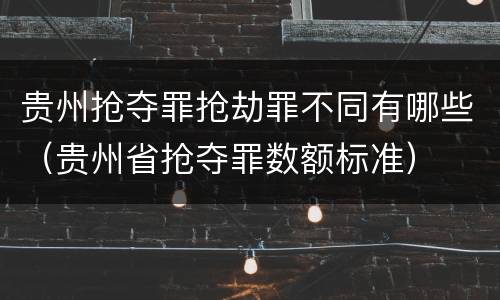 贵州抢夺罪抢劫罪不同有哪些（贵州省抢夺罪数额标准）