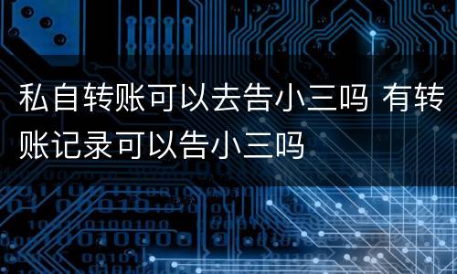 私自转账可以去告小三吗 有转账记录可以告小三吗
