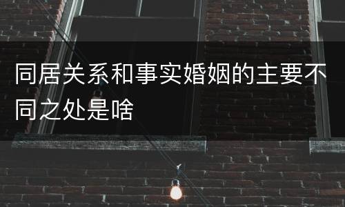同居关系和事实婚姻的主要不同之处是啥