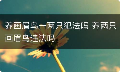 养画眉鸟一两只犯法吗 养两只画眉鸟违法吗