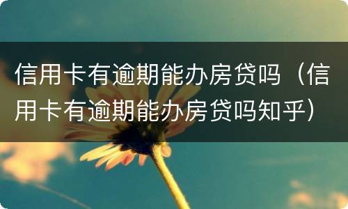 信用卡有逾期能办房贷吗（信用卡有逾期能办房贷吗知乎）