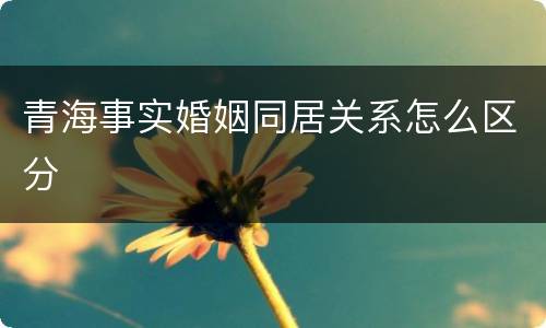 青海事实婚姻同居关系怎么区分