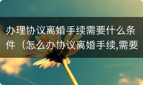 办理协议离婚手续需要什么条件（怎么办协议离婚手续,需要准备哪些材料?）