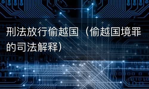 刑法放行偷越国（偷越国境罪的司法解释）