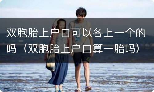 双胞胎上户口可以各上一个的吗（双胞胎上户口算一胎吗）
