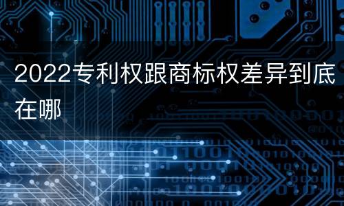 2022专利权跟商标权差异到底在哪