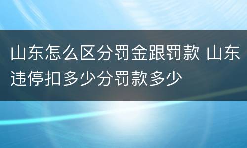 山东怎么区分罚金跟罚款 山东违停扣多少分罚款多少