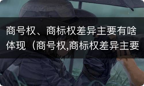 商号权、商标权差异主要有啥体现（商号权,商标权差异主要有啥体现）