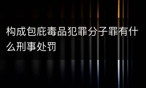 构成包庇毒品犯罪分子罪有什么刑事处罚