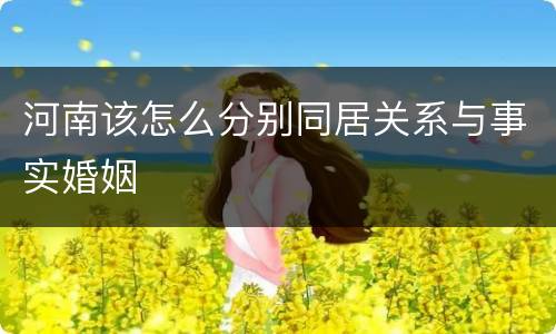 河南该怎么分别同居关系与事实婚姻