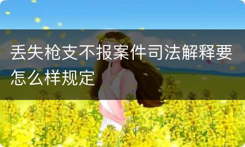 丢失枪支不报案件司法解释要怎么样规定