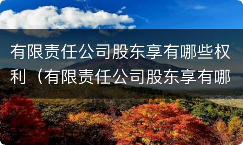 有限责任公司股东享有哪些权利（有限责任公司股东享有哪些权利和义务）