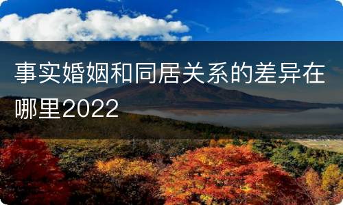 事实婚姻和同居关系的差异在哪里2022