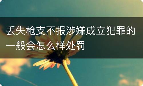 丢失枪支不报涉嫌成立犯罪的一般会怎么样处罚