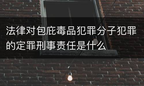 法律对包庇毒品犯罪分子犯罪的定罪刑事责任是什么
