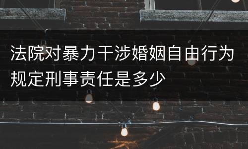 法院对暴力干涉婚姻自由行为规定刑事责任是多少