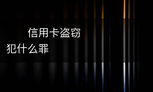 　　信用卡盗窃犯什么罪