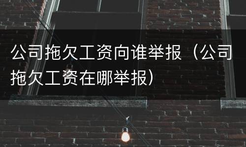 公司拖欠工资向谁举报（公司拖欠工资在哪举报）