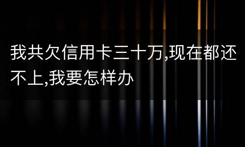 我共欠信用卡三十万,现在都还不上,我要怎样办