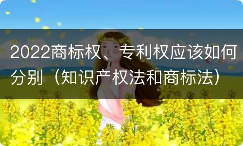 2022商标权、专利权应该如何分别（知识产权法和商标法）