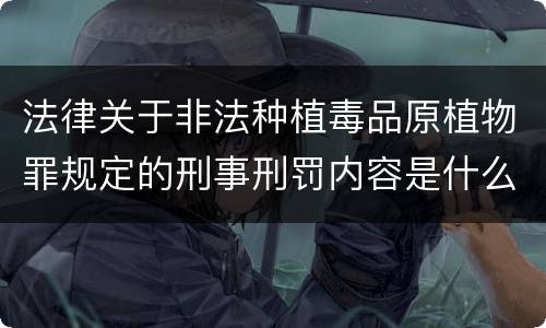 法律关于非法种植毒品原植物罪规定的刑事刑罚内容是什么