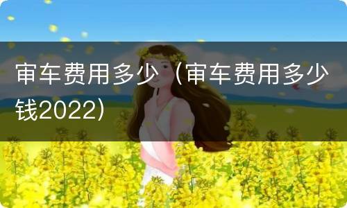审车费用多少（审车费用多少钱2022）
