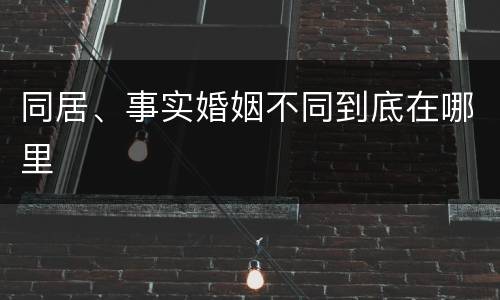同居、事实婚姻不同到底在哪里