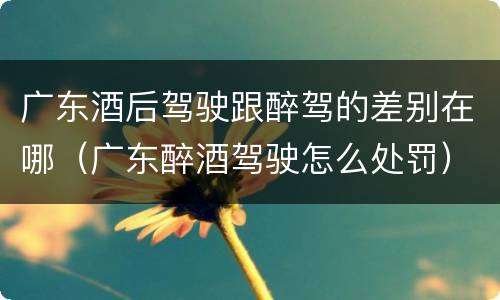 广东酒后驾驶跟醉驾的差别在哪（广东醉酒驾驶怎么处罚）