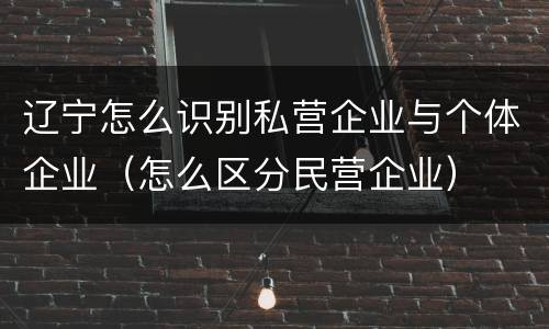 辽宁怎么识别私营企业与个体企业（怎么区分民营企业）