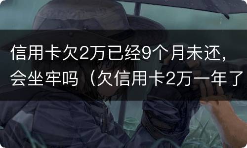 信用卡欠2万已经9个月未还，会坐牢吗（欠信用卡2万一年了会坐牢吗）