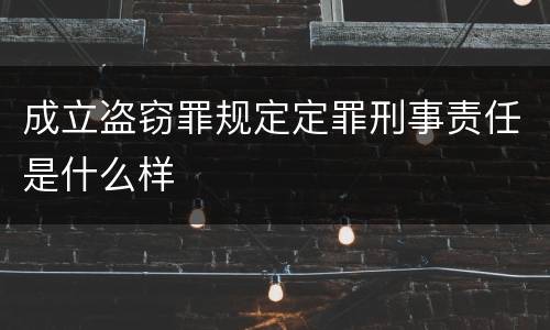成立盗窃罪规定定罪刑事责任是什么样